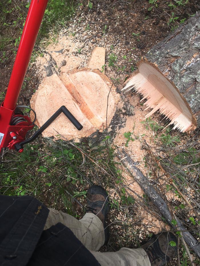 Perpendicular stick guides to line up the saw blade to when cutting.. makes such a difference with bigger trees