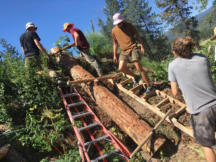 We did two big logs like this