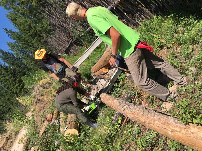 Log cutting training, Briella, S and C