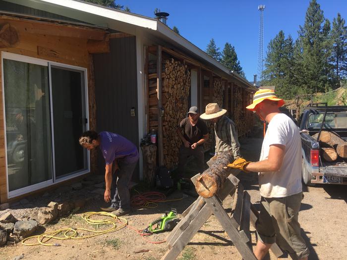 Firewood harvest