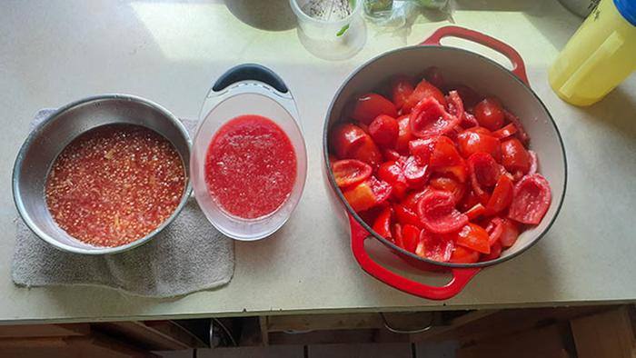 Seeds, juice and meat