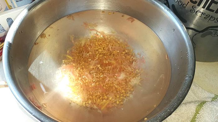 Seeds rinsed and floaters obvious