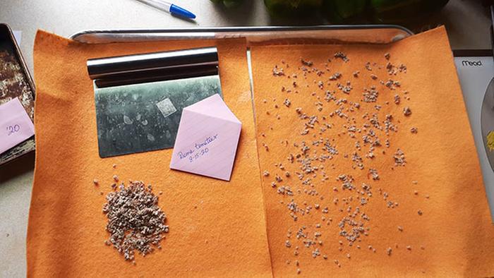 Dried for three days and ready for storage. 