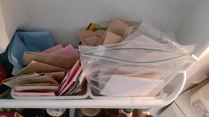 Just one part of the fridge where seeds are stored. 