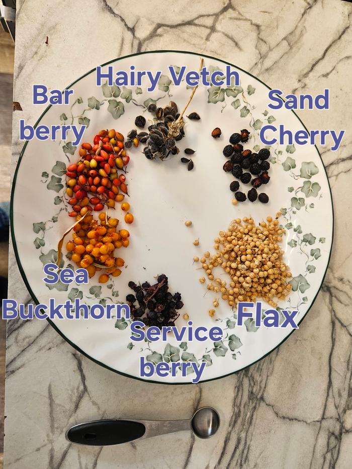 Seeds gathered