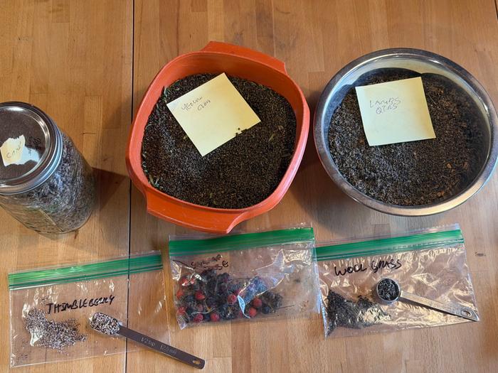 [Thumbnail for 01SavedSeeds.jpg]