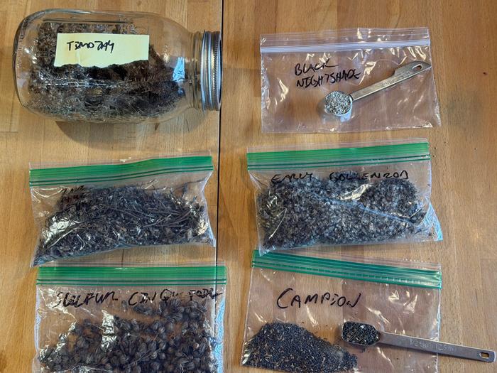 [Thumbnail for 02SavedSeeds.jpg]