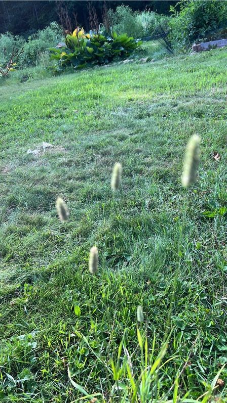 [Thumbnail for 02Timothy.JPG]