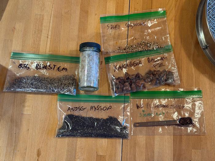 [Thumbnail for 04SavedSeeds.jpg]