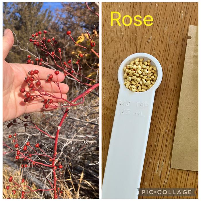 [Thumbnail for IMG_1758.jpeg]