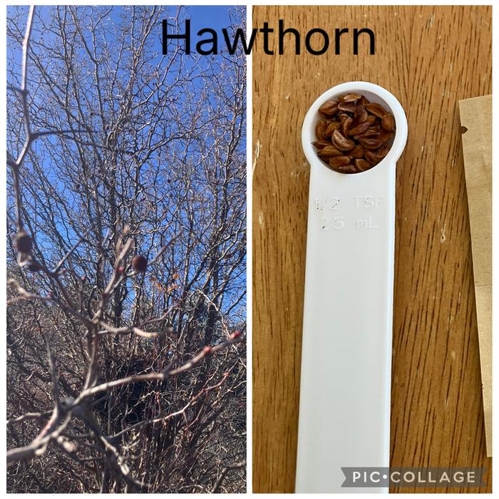 [Thumbnail for IMG_1759.jpeg]