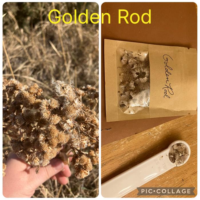 [Thumbnail for IMG_1756.jpeg]