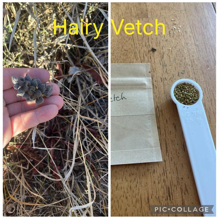 [Thumbnail for IMG_1757.jpeg]