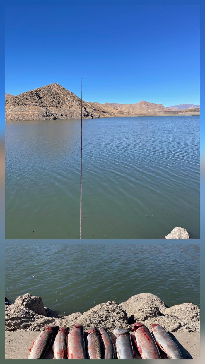 [Thumbnail for 20251021_212457.jpg]