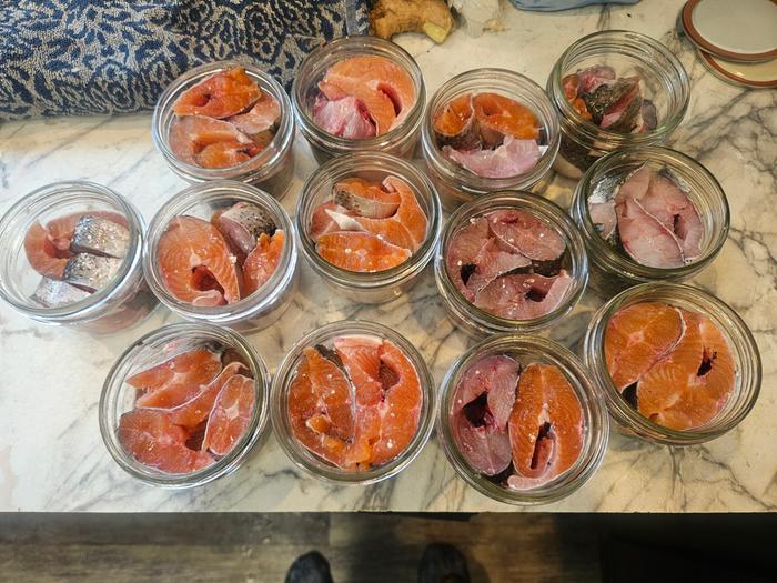 The prepared fish, in jars, ready for the pressure canner