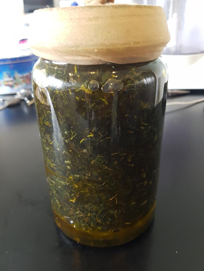 dehydrated leaves and roots steeping in oil