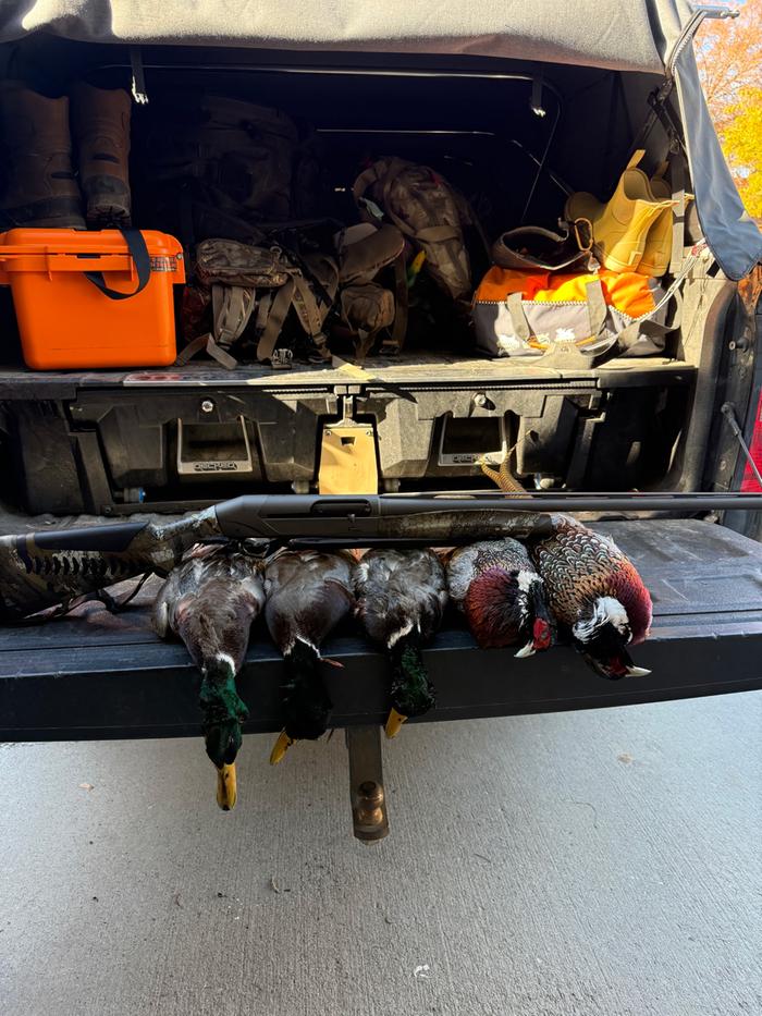 5 birds, with the shotgun. 