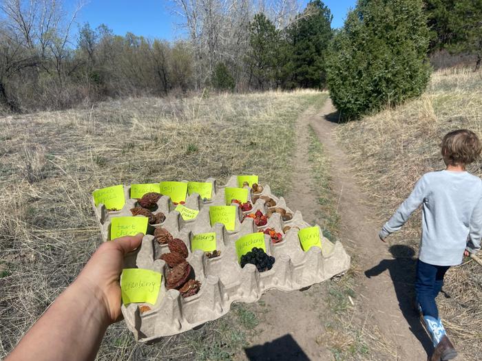 [Thumbnail for hiking-with-my-photographer-to-the-valley-I-wanted-to-plant.jpg]