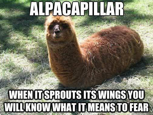[Thumbnail for funny-animal-memes-3-1-01-1-3-4-6-7-8-9-3-2-1-4-3-2.png]