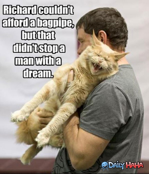 [Thumbnail for catpipe.jpg]
