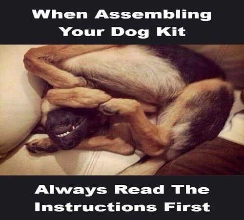 [Thumbnail for dog-kit-instructions.jpg]