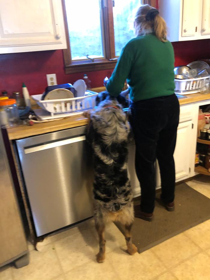 If you would just move over Mom, I’ll do the dishes. 