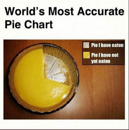 [Thumbnail for pie-chart.JPG]