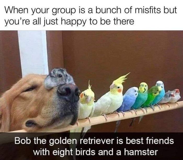 [Thumbnail for A7F47B44-16BB-4B04-8A83-72CA4EFF6660.jpeg]