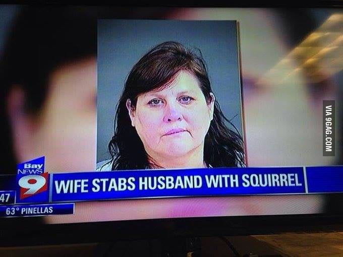 [Thumbnail for wife-stabs-husband-squirrel.jpg]