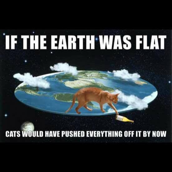 [Thumbnail for EarthFlatCats.jpg]