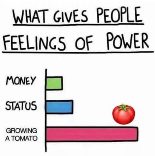 [Thumbnail for garden-power.jpg]