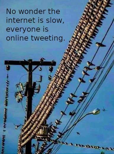 [Thumbnail for tweeting.JPG]