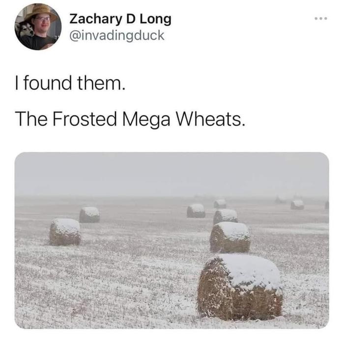 [Thumbnail for 249293849_4651358791552253_4862682069039949441_n.jpeg]