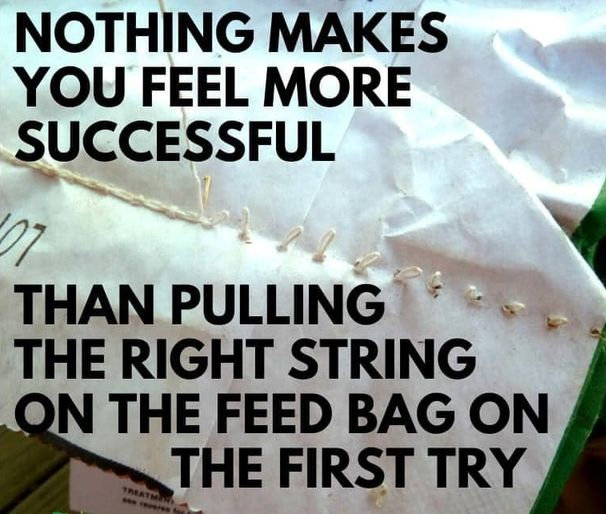 [Thumbnail for success.jpg]