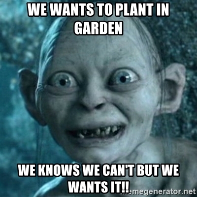 [Thumbnail for we-wants-to-plant-in-garden-we-knows-we-cant-but-we-wants-it.jpg]