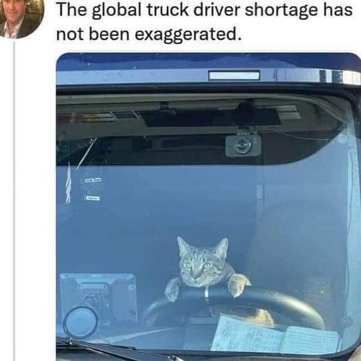 [Thumbnail for truck-driver.png]