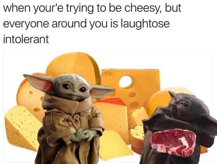 [Thumbnail for 272841039_493302778844083_8635966782586168627_n.jpg]