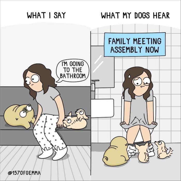 [Thumbnail for 274055313_4208991049204508_2613427576284014760_n.png]