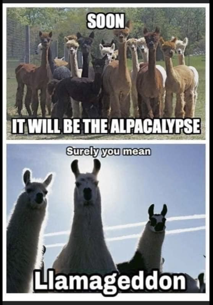 Lllamagedon