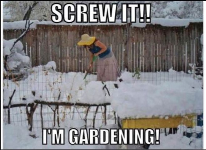 [Thumbnail for gardening.jpg]