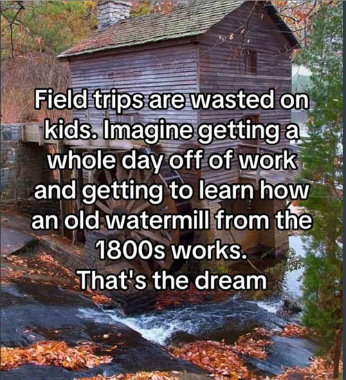 [Thumbnail for Field-trip.jpg]