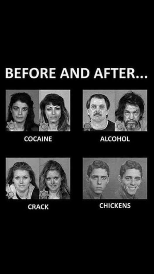 [Thumbnail for Chickens.jpg]