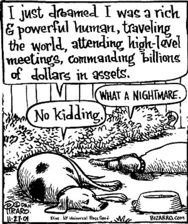 [Thumbnail for Dog-Nightmare.jpg]