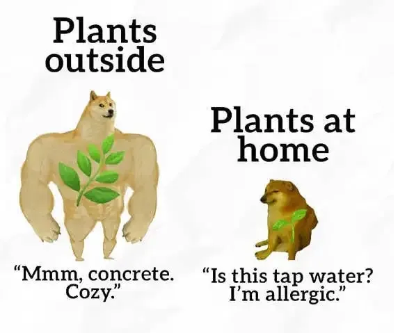 [Thumbnail for plants.png]