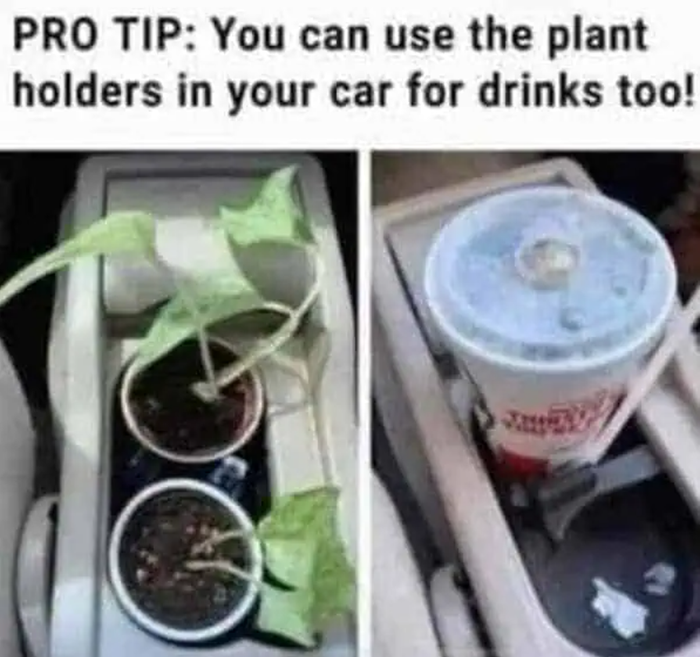 plant holder joke