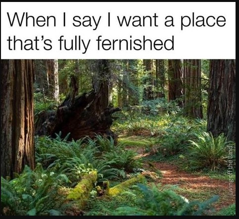 [Thumbnail for Fernished.jpg]