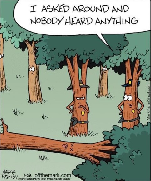 [Thumbnail for dead-tree.jpg]