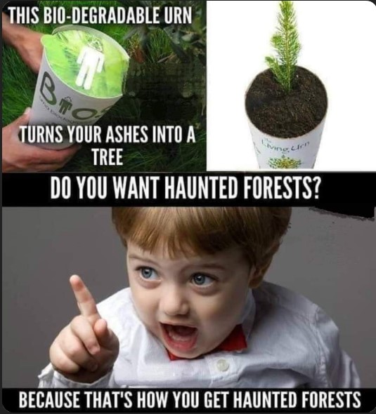 [Thumbnail for Haunted-forests.jpg]