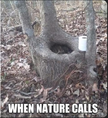[Thumbnail for nature-calls.jpg]