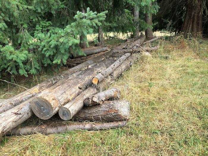 Stacked old log